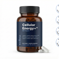 Feel Your Energy Again — NAD+ Cellular Support