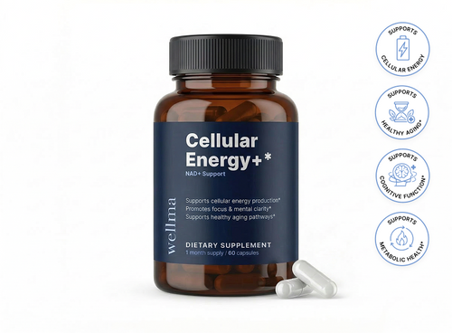 Feel Your Energy Again — NAD+ Cellular Support