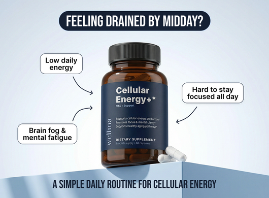 Feel Your Energy Again — NAD+ Cellular Support