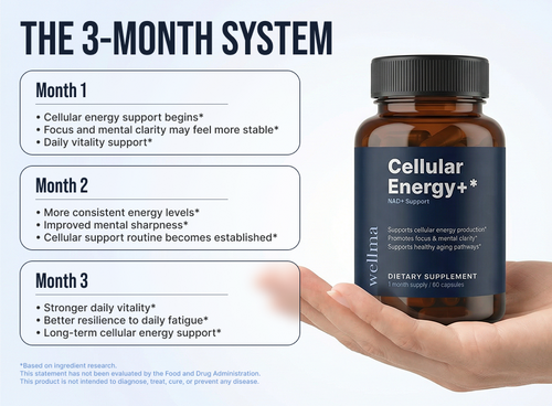 Feel Your Energy Again — NAD+ Cellular Support