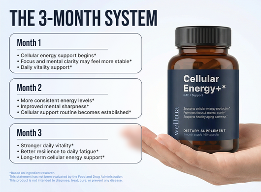Feel Your Energy Again — NAD+ Cellular Support