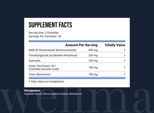 Feel Your Energy Again — NAD+ Cellular Support