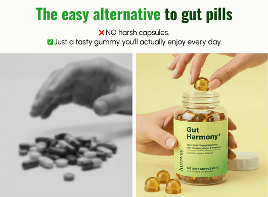 Gut Harmony Gummies - LUMWAY